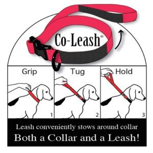Co-Leash